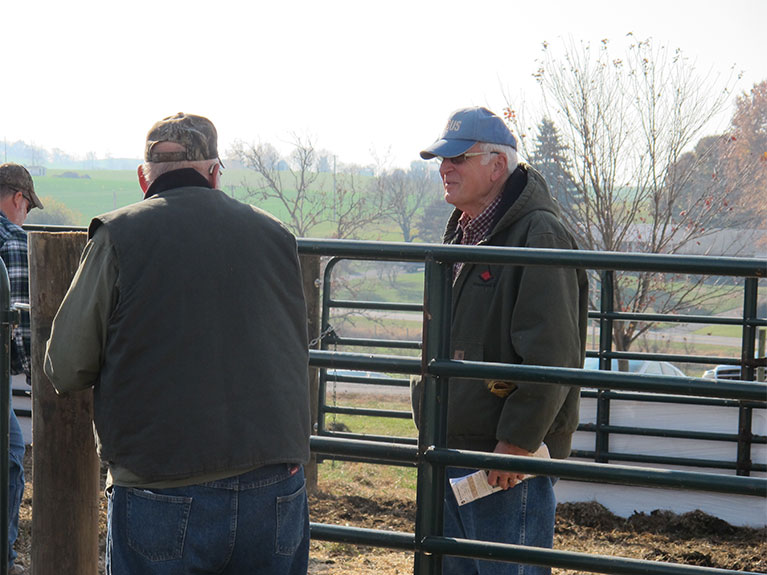 Miller-Gustin Bull and Female Sale