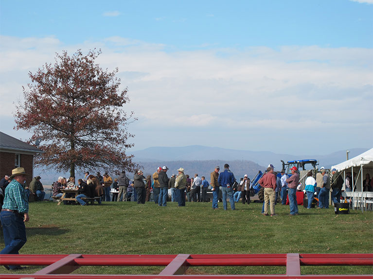 Miller-Gustin Bull and Female Sale