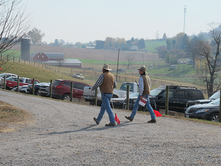 Miller-Gustin Bull and Female Sale